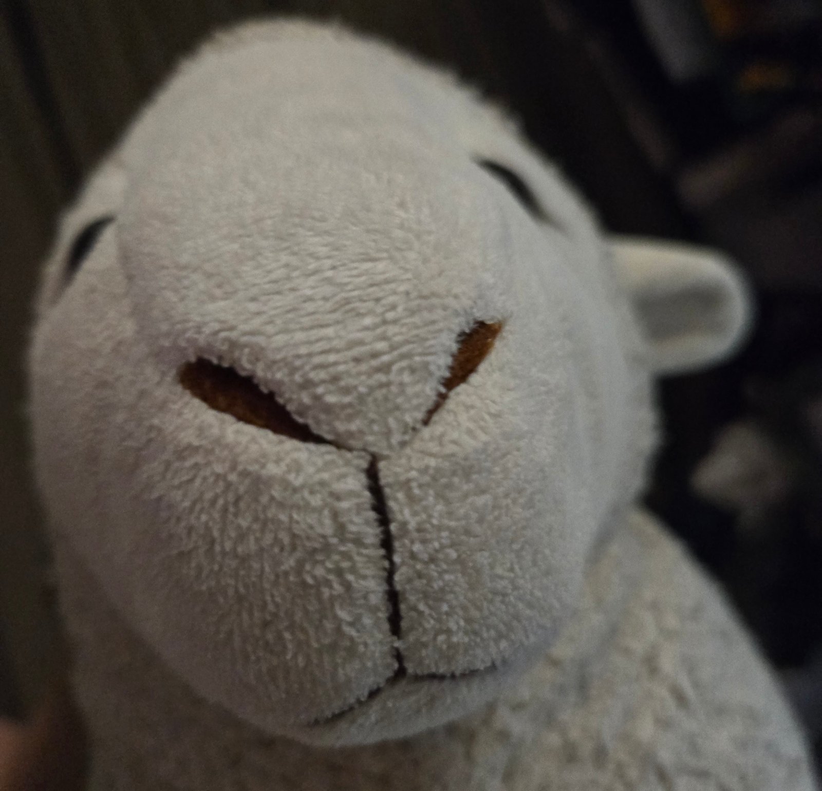 ตุ๊กตาแกะ